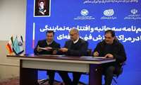 آموزش و مهارت دو پیش نیاز تحول در بازار کار است/ شکاف مهارتی از مهم‌ترین چالش های بازار کار کشور است